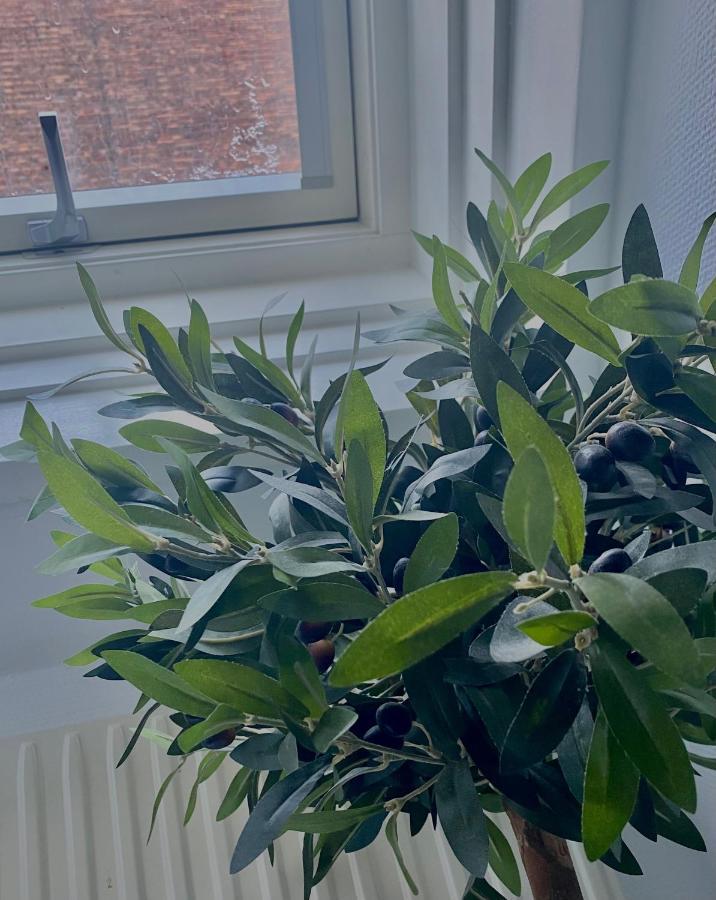 Lilla Brunn Hostel Stockholm Luaran gambar